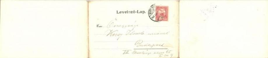 Nagyvárad, Oradea; Látkép zsinagógával, Janky Antal, Horváth István, Goldman Lajos üzletei, kávéhház...