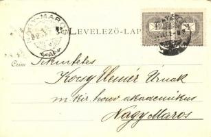 Szatmárnémeti, Satu Mare; zárda, utcakép. Reizer János kiadása / nunnery, street view