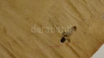 Hungarica: Tarducci, Achille: Il turco vincibile in Ungaria, con mediocri aiuti di Germania.
Ferrar...