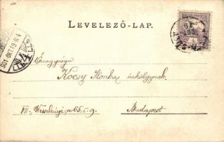 1901 Tápiósáp (Sülysáp); legénységi barak a honvéd táborban, belső, photo