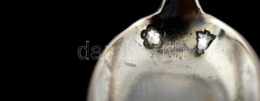 Ezüst(Ag) fűszerkanál, jelzett, h: 8 cm, nettó: 6,1 g + metszett üveg sótartó, apró csorbákkal, 7x3,...