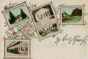 1898 Szliács, Sliac; Bellevue, Gloriet és Pest szállodák, Üvegház, kápolna / villas, chapel, floral (vágott / cut)