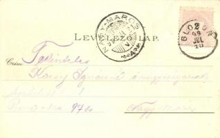 1899 Pancsova, Pancevo; Szerb görög-keleti orthodox templom. Kohn Samu kiadása / Serb. gr. or. Chris...