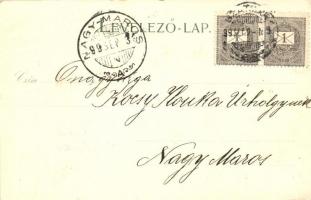 1899 Szatmárnémeti, Satu Mare; Közlekedési híd, Székesegyház, Reizer János kiadása / bridge, cathedr...