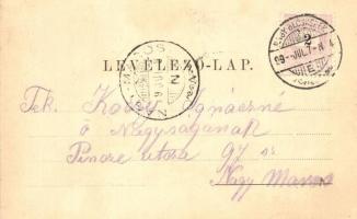 1899 Nagybecskerek, Zrenjanin; Béga part, Polgári iskola és Pénzügyi palota. Schenk H. kiadása / riv...