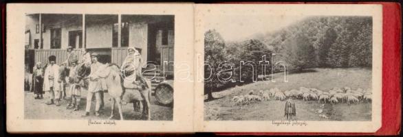 Petrózsény, Petrosani; 16 lapos petrózsényi városképes leporellófüzet, szénosztályozó, nyugati főtár...