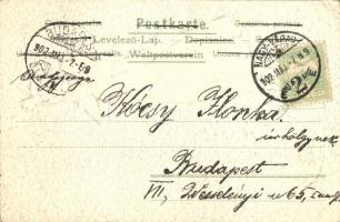 Ice skating lady, E.S.D. Serie 8124. Emb. litho s: Heyer  (EK)