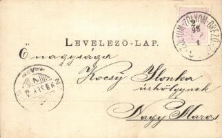 1898 Borosznó-fürdő, Kupele Brusno; Fürdőház, Lajos lak, Lechnitzky Ottó műintézete / spa, villa, fl...