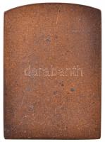 Csillag István (1881-1968) 1911. "Dr. Vázsonyi Vilmos 1901-1911" egyoldalas Br plakett (63...