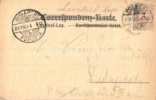 1899 Der Krampus, Verlag A. Sockl, Wien I. No. 270. (EK)