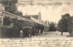 Nagykároly, Carei; Károlyi kastély parkja. Csókás László kiadása / castle park  (EK)