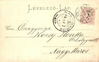 1899 Kassa, Kosice; Rákóczi körút, kiadja Varga Bertalan / street (EK)