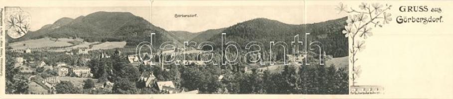 Sokolowsko, Görbersdorf; Gruss aus... Photographie u. Verl. v. Max Heinz; 3-tiled panoramacard, floral (Rb)