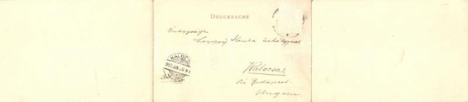 Sokolowsko, Görbersdorf; Gruss aus... Photographie u. Verl. v. Max Heinz; 3-tiled panoramacard, flor...