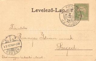 Fonyód Balaton-fürdő, Szarvas vendéglő, Duhani, Vollenhofer és Annus Villa, floral. Kapható Hoffmann...