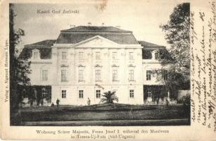 Temesújfalu, Neudorf; Gróf Zselénszky kastély, Sigmund Heimann kiadása / castle (EK)