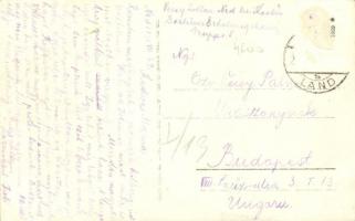 1931 Uniescie, Nest; Pihenő gépmadarak; D-1531 és D-1558 katonai hidroplánok a rejtet bázison /  D-1...