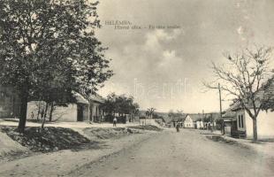 Helemba, Hellenbach, Chlaba; Fő utca, Tóth Kálmán kiadása / main street