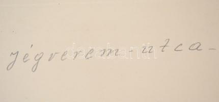 cca 1910 Erdélyi Mór (1866-1934) budapesti fotói, 21 db, hátuljukon feliratozva, 24×29,5 cm