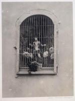 cca 1910 Erdélyi Mór (1866-1934) budapesti fotói, 21 db, hátuljukon feliratozva, 24×29,5 cm