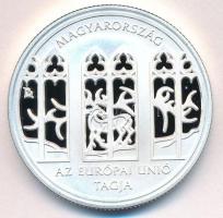 2004. 5000Ft Ag "Magyarország az Európai Unió tagja" tanúsítvánnyal T:PP  Adamo EM190