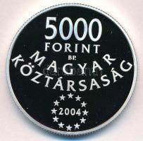 2004. 5000Ft Ag "Magyarország az Európai Unió tagja" tanúsítvánnyal T:PP 
Adamo EM190