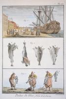 1793 9 db halászat témájú, kézzel színezett rézmetszet Diderot Enciklopédiájának első kiadásából. / ...