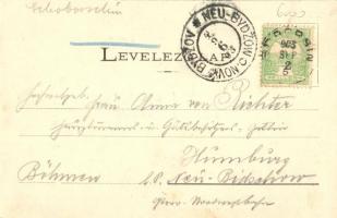 Soborsin, Savarsin; Seidner Villa, Gróf Hunyady kastély, utcakép. Ifj. Róth Bernát kiadása / villa, ...