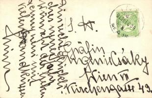 1913 Inke, Inkei kúria, kastély belső, photo