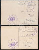 1915 Osztrák-magyar hadifogolytábor, védoltás beadásával, és járványbarakkokkal a képeken, tábori ko...