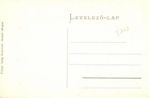 Zernest, Zarnesti; Comsia J. János vegyeskereskedése, szálloda / shop, hotel; Fotogr. Lang