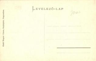 Belényes, Beius; Vasútállomás, Közkórház. Wagner Vilmos fényképész / railway station, hospital, flor...