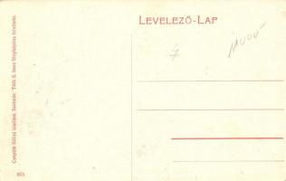 Szatmárnémeti, Satu Mare; Pannónia szálloda kávéház, billiárd terem, belső; kiadja Cseplák Bálint / ...