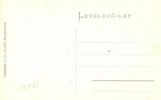 Nagyszeben, Hermannstadt, Sibiu; Három Tölgy sörgyár vendéglő terasza, M. Niedlich étterem tekepályá...