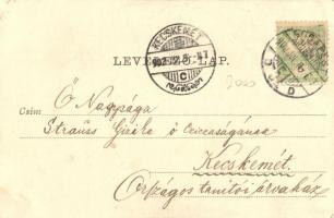 Budapest V. Váci utca, Mannheim Simon magán zálogháza, Divald Károly 424