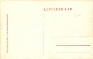 Máramarossziget, Sighetu Marmatiei; Erdélyi út a jövőben. Kaufman Ábrahám és fia kiadása / in der Zu...