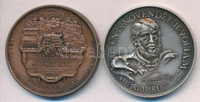 Bozó Gyula (1913-2004) 1990. "Mátyás király halálának 500. évfordulója emlékére" Br emléké...