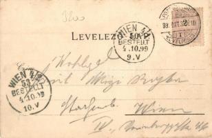 1899 Pozsony, Pressburg, Bratislava; Cigány zenekar, vár, gőzhajó / gypsy band, castle, steamship, S...