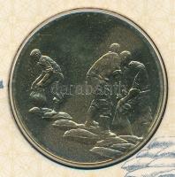 1999. "Az árvíz- és belvízvédekezésért a Vízügyi Szolgálattól" emlékérem (30mm) "Az 1...