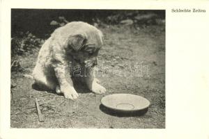 17 db MODERN kutya motívumlap, vegyes minőség / 17 modern dog motive cards, mixed quality