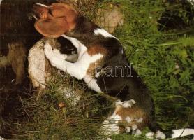 17 db MODERN kutya motívumlap, vegyes minőség / 17 modern dog motive cards, mixed quality