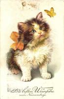 13 db MODERN macska motívumlap, vegyes minőség / 13 modern cat motive cards, mixed quality