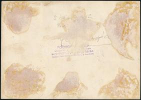 1929 A Pesti Hirlap sakkörének 'Légrády Ottó serleg' avató vacsorájának emlékestje, Jánosi...