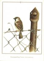 16 db MODERN madár motívumlap, vegyes minőség / 16 modern birds, motive cards, mixed quality