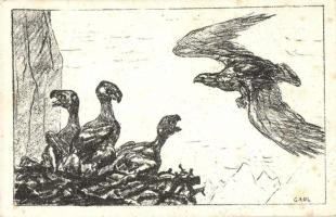 18 db főleg MODERN madár motívumlap, vegyes minőség / 18 mostly modern birds, motive cards, mixed quality