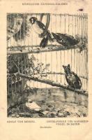 18 db főleg MODERN madár motívumlap, vegyes minőség / 18 mostly modern birds, motive cards, mixed qu...