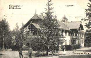 Tátra, Barlangliget, Höhlenhain, Tatranská Kotlina; Concordia, Britz Berta felvételi tulajdona / hotel