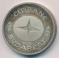 1990. "Citibank Budapest / 5 év Budapesten" Ag emlékérem (0.925/21.9g/30mm) díszdobozban T:1-(PP)