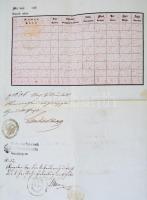 1856 Útlevél 6 kr CM okmánybélyeggel  hamvasdi illető részére / Passport for person from Aschan
