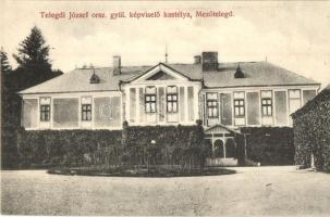 Mezőtelegd, Tileagd; Telegdi József országgyűlési képviselő kastélya / castle